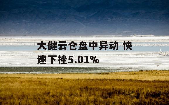 大健云仓盘中异动 快速下挫5.01%